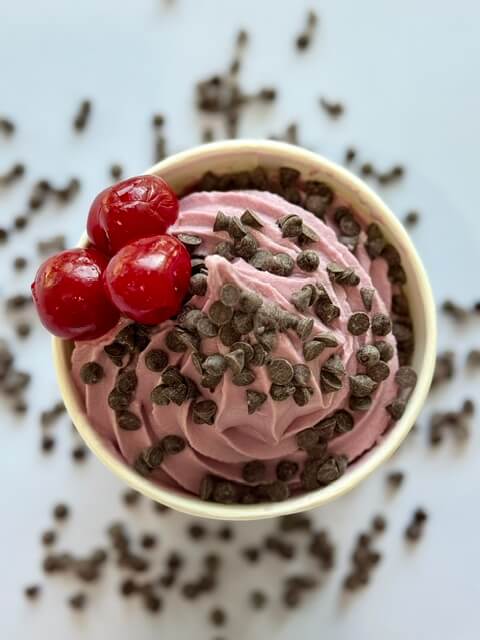 Dairy-free frozen yogurt flavors at Chill on the Hill